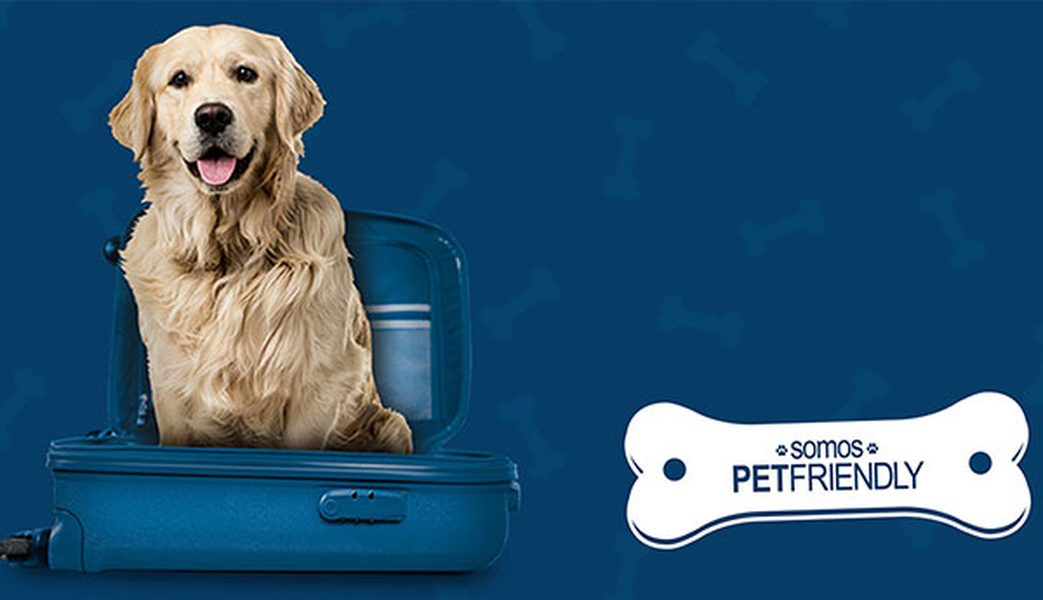 Quer viajar com o seu animal de estimação? Hotel ILUNION Alcora Sevilla Sevilha